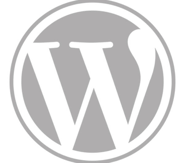 wordpress development company in mumbai